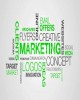 Bài giảng Marketing manager - Chương 11: Chiến lược phân phối